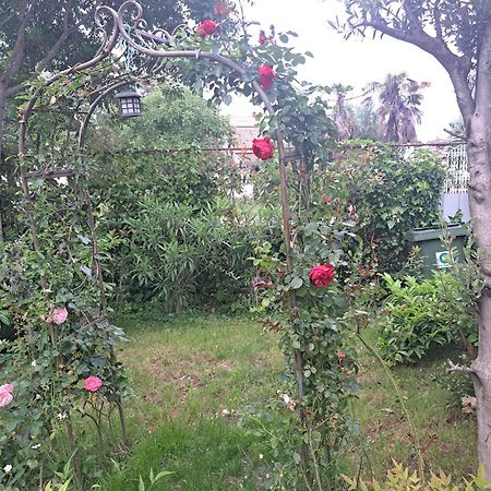 Apartmani Donna Porec Exterior photo