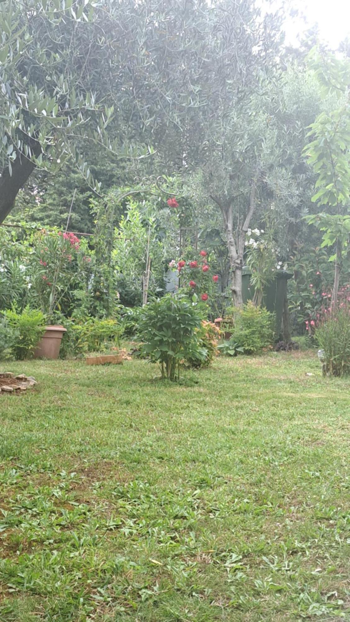 Apartmani Donna Porec Exterior photo
