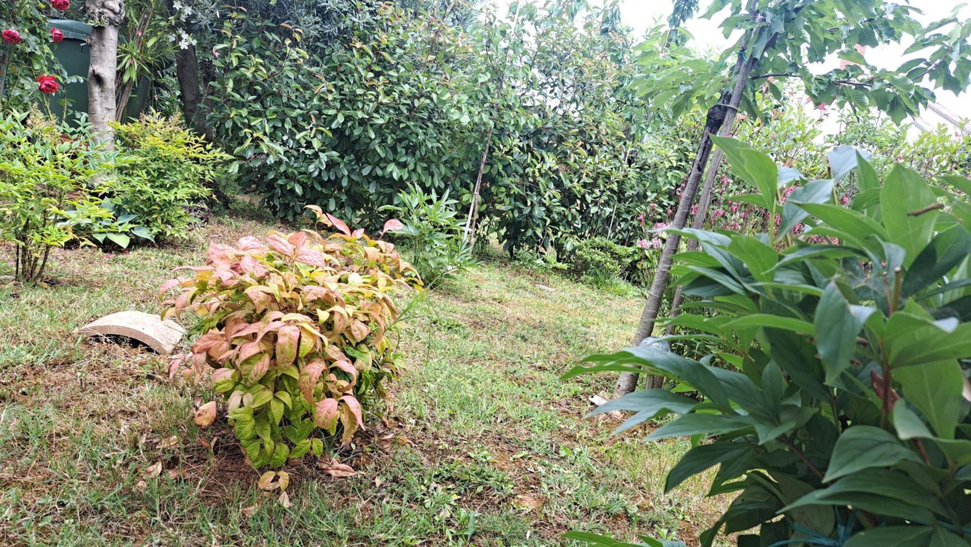 Apartmani Donna Porec Exterior photo