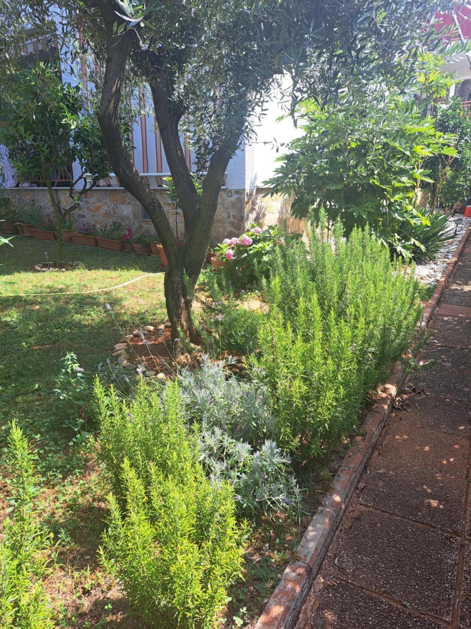Apartmani Donna Porec Exterior photo